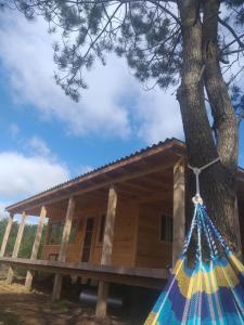 a house with a tree and a hammock at Casa Oceania del Polonio in Rincón de los Oliveras