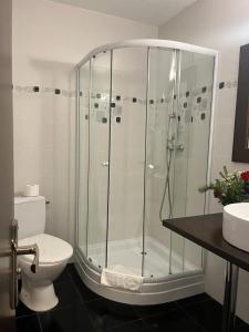a bathroom with a shower with a toilet and a sink at Pietrele Doamnei in Pojorîta