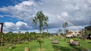 Zahrada ubytování Hotel de Tierra Viñedo y Spa - Aeropuerto Querétaro