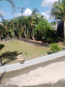 a plant in a pot sitting on a sidewalk at Home Away From Home in Nadi