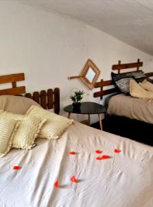 Postel nebo postele na pokoji v ubytování Logement vue mer et montagne