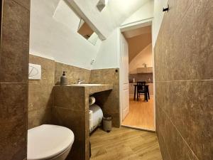 a bathroom with a toilet and a sink at Studio Nicolas II Prague in Prague