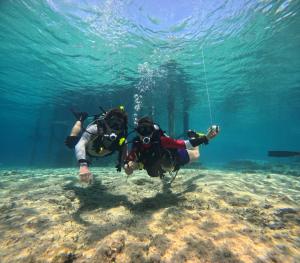 a person in the water in the ocean at Perfect Place Cozumel - DIANA in Cozumel