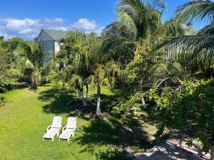 two white chairs sitting in the grass near palm trees at Perfect Place Cozumel - DIANA in Cozumel