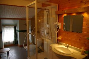 ein Bad mit einer Dusche, einem Waschbecken und einem WC in der Unterkunft Gîte Chez Jo in Longchamp-sur-Aujon