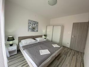 a bedroom with a large bed and a mirror at Apartment Vito in Povile