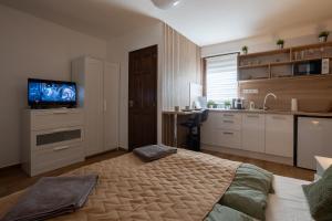 a kitchen with a bed and a tv in a room at RP Apartmanház in Demjén