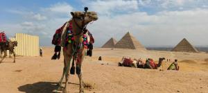 Mga guest na naka-stay sa T2 pyramids View
