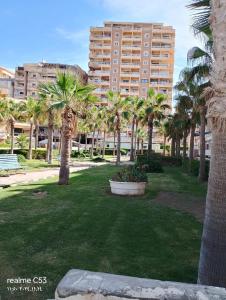 a park with palm trees and a tall building at شالية العجمي اللؤلؤة أدارة سعودية فندقية in Alexandria