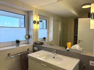 Ένα μπάνιο στο Penthouse de Hester +19 φωτογραφίες