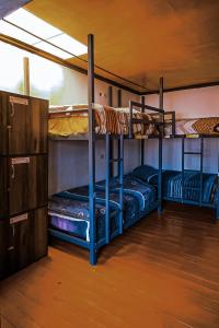 Letto o letti a castello in una camera di Terra House Hostel
