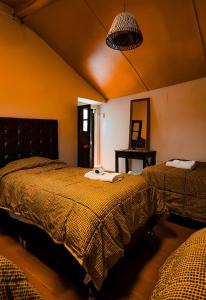 Letto o letti in una camera di Terra House Hostel