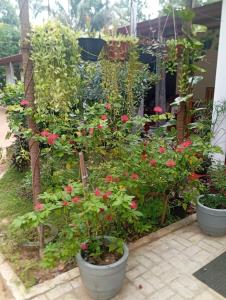 Giardino di Sigiriya Moonlight Home