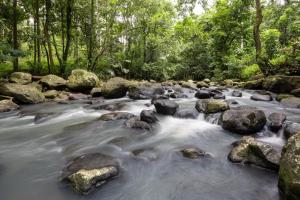 a stream of water with rocks and trees at Asep Gumi Retreat in Tabanan