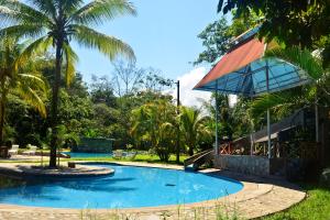 a swimming pool in a park with palm trees at Ecolodge El Palmero in Mazamari