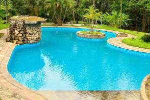 a large blue swimming pool in a yard at Ecolodge El Palmero in Mazamari +2 photos