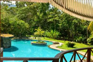 a swimming pool in the middle of a yard at Ecolodge El Palmero in Mazamari