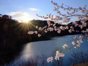 民宿周边自然景观