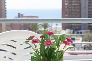 Ein Balkon oder eine Terrasse in der Unterkunft Apartamentos Niza
