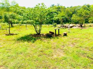 a park with a tree and a table in the grass at Hena Villas Campsite in Kataragama