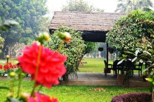 Um jardim no exterior de Chitwan Paradise Hotel