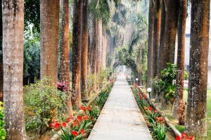 Um jardim no exterior de Chitwan Paradise Hotel