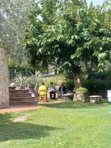Gallery image of Agriturismo Terre di Toscana in Terricciola