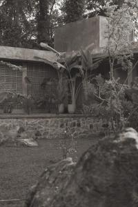 Zahrada ubytování Maro Garden