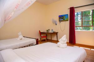 Gallery image of Museum View Hotel Kisumu in Kisumu +22 photos