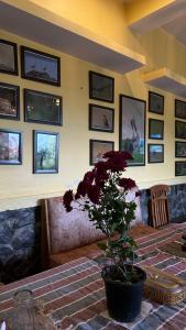 Ruang duduk di incredible birding camp