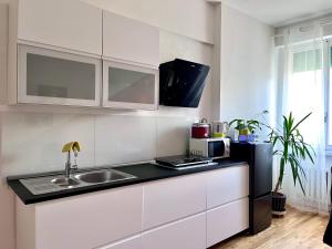 Kuchyň nebo kuchyňský kout v ubytování Solely elegante Trilocale vicino Firenze