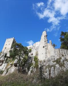 a castle on the side of a mountain at FeWo Fink in Regen +11 photos