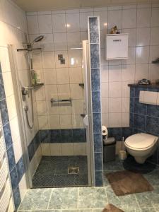 a bathroom with a shower and a toilet at Gemütliches Ferienhaus nahe Dinkelsbühl in Dürrwangen