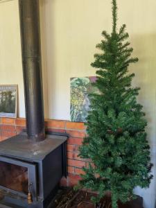 Fotografie z fotogalerie ubytování Tullah HideAway v destinaci Tullah