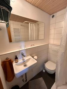 a bathroom with a sink and a toilet at Blick in den Garten in Holzschlag