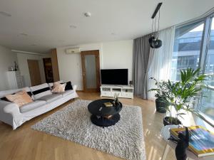 シュヴェントイにあるToVa Apartamentaiのソファとテレビのあるリビングルーム