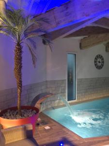 - une piscine intérieure avec un palmier dans une chambre dans l'établissement Hôtel Calme Des Pins & Spa, à Les Sables-dʼOlonne