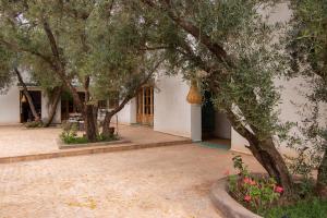 a building with trees and flowers in a courtyard at Eden Marrakchi in Marrakech
