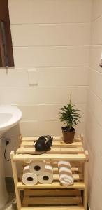 a bathroom with a toilet and a sink and a plant at Jardim Secreto in Sao Paulo +25 photos