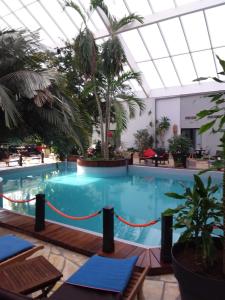 杜柏Tropical Hotel的一座拥有玻璃天花板的酒店的大型游泳池