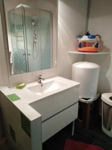 a bathroom with a sink and a mirror and a toilet at Maison patio et piscine in Feillens