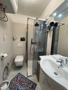 a bathroom with a shower and a sink and a toilet at Il Rifugio sul Mare in Stintino