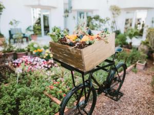 Κήπος έξω από το Le Diwan Hotel Rabat - MGallery Collection
