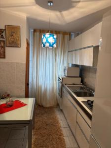 a small kitchen with a stove and a sink at Asalt Pascani in Paşcani
