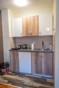 Majoituspaikan Apartmani Dambo keittiö tai keittotila