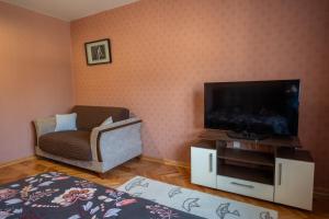 TV tai viihdekeskus majoituspaikassa Apartmani Dambo