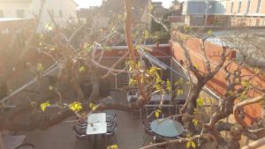 Fotografie z fotogalerie ubytování Pensión Avenida v destinaci Vilafranca del Penedès