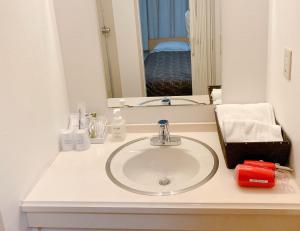 a bathroom counter with a sink and a mirror at Hotel Shin Osaka / Vacation STAY 81537 in Osaka