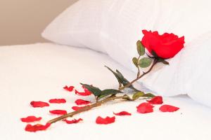 a red rose on a bed with red flowers at Apartments Anuška in Cavtat +41 photos