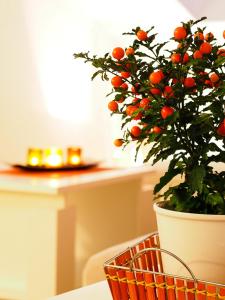 una planta en una olla sentada en una mesa junto a una mesa en Apartments Anuška en Cavtat